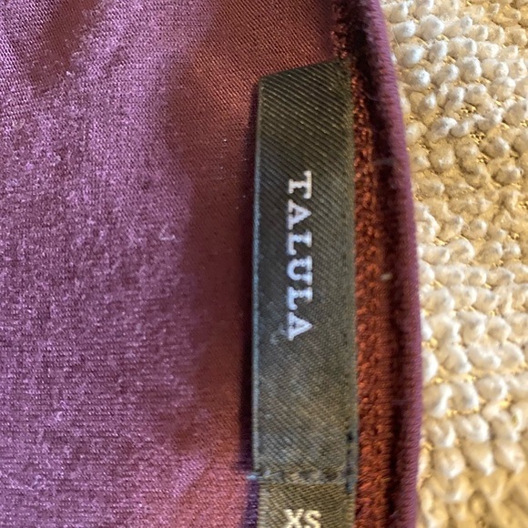 Talula by ARITZIA xs Crop Burgandy top - Picture 4 of 4